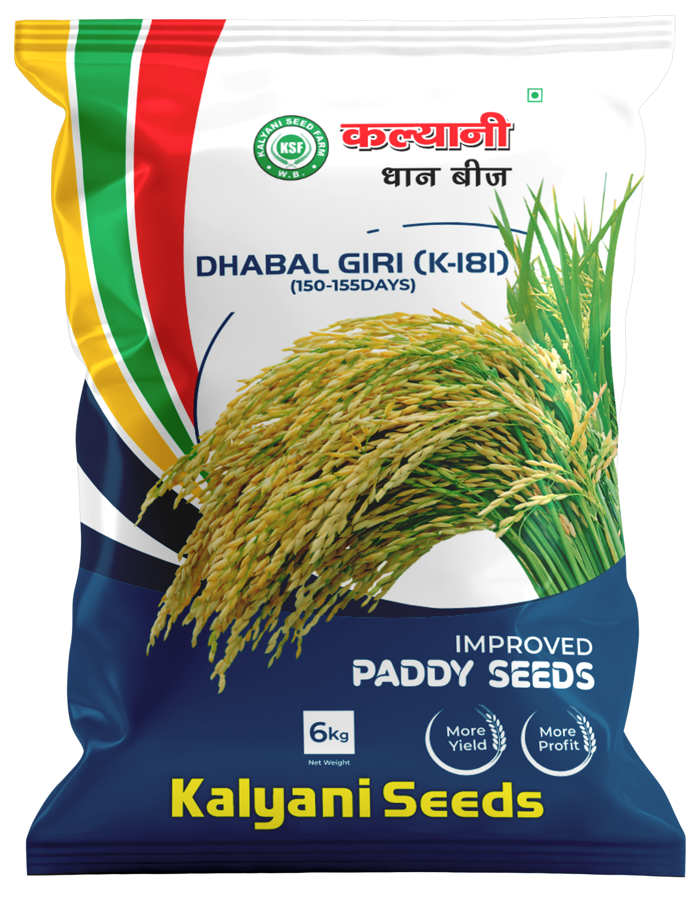 kalyani paddy seeds